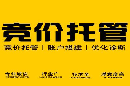 竞价账户如何开户：从理论到实践的成功案例